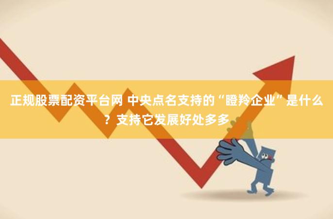 正规股票配资平台网 中央点名支持的“瞪羚企业”是什么？支持它发展好处多多