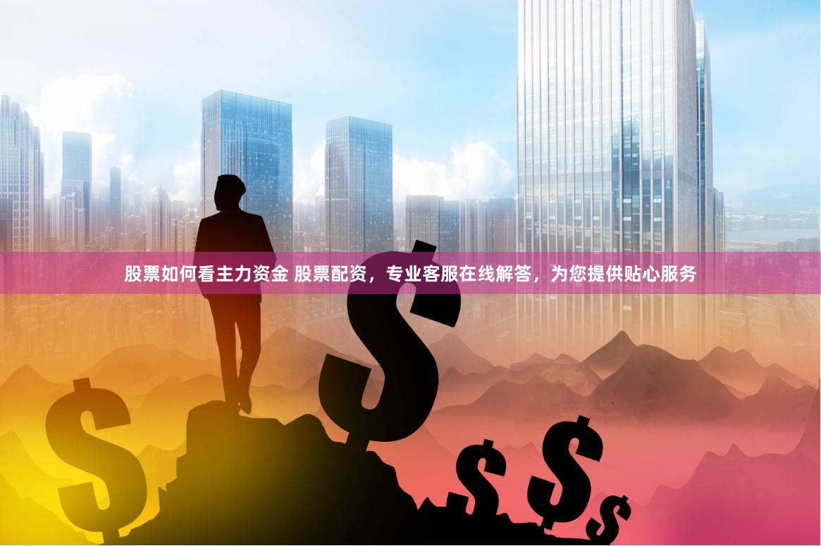 股票如何看主力资金 股票配资，专业客服在线解答，为您提供贴心服务